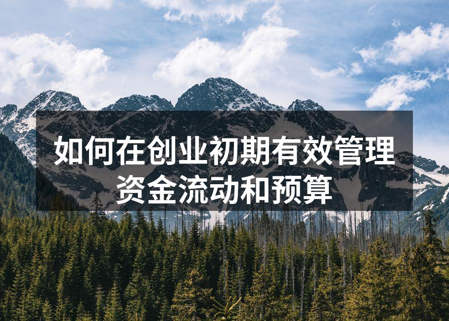 如何在创业初期有效管理资金流动和预算