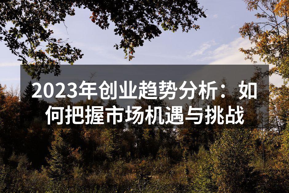 2023年创业趋势分析：如何把握市场机遇与挑战